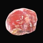 Petrified Wood Polished Face Slice Specimen.   SP17166POL