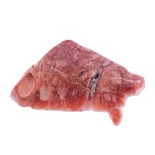 Pink Jasper Partially Polished Crystal Specimen.   SP17204POL