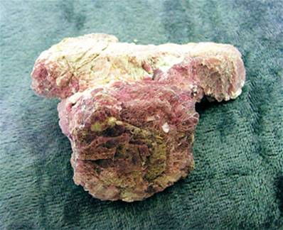 LEPIDOLITE MICA CRYSTAL SPECIMEN. SP6612