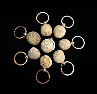 FOSSIL SEA URCHIN KEYRINGS.   SPR11603