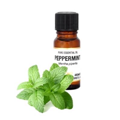 PURE ESSENTIAL OIL - PEPPERMINT. mentha piperita. SPR2252