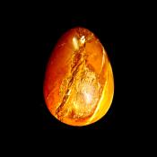 EGG IN PETRIFIED WOOD.   SP13447POL