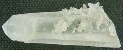 LEMURIAN SEED QUARTZ WITH BARNICLE QUARTZ SPECIMEN. SP1446