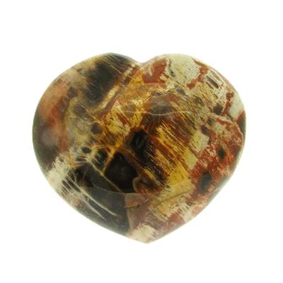 Petrified Wood Polished Heart.   SP16130POL