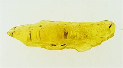 COLUMBIAN COPAL SPECIMEN. SP6826