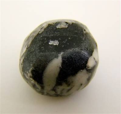 CHRYSANTHEMUM STONE POLISHED PEBBLE SPECIMEN. SP8599POL