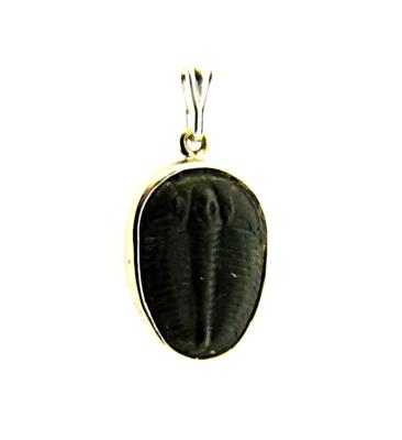 925 SILVER DESIGNER PENDANT FEATURING TRILOBITE FOSSIL.   SP12262PEND 