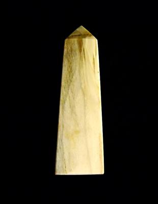 PETRIFIED WOOD OBELISK.   SP12489POL