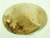 DOME POLISHED QUARTZ PEBBLE SPECIMEN. SP2465POL