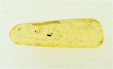 MADAGASCAN COPAL (YOUNG AMBER) SPECIMEN. SP6966