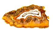 AGATE SLICE/ GEODE SPECIMEN. SP9504POL