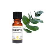 PURE ESSENTIAL OIL - EUCALYPTUS. eucalyptus globulus. SPR1090