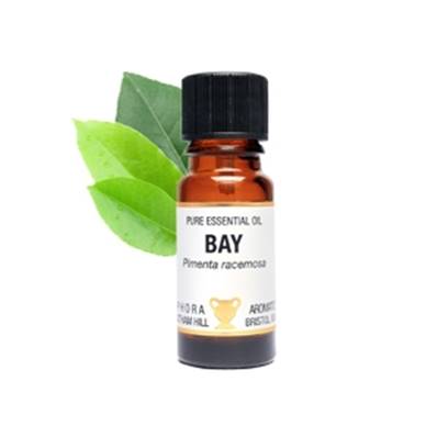 PURE ESSENTIAL OIL - BAY. pimenta racemosa. SPR1640