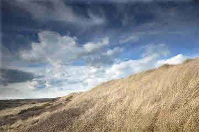 'Sea Palling Sand Dunes' by Danny Hickling A6 Art Print