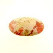 PALMSTONE IN RHODOCHROSITE.   SP13644POL