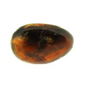 Sumatran Blue Amber Polished Specimen.   SP15815POL