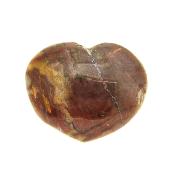 Petrified Wood Polished Heart.   SP16128POL