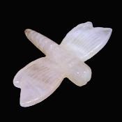 Carving Of A Dragonfly In Rose Quartz.   SP16677POL