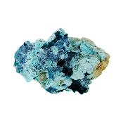 Shattuckite with Dioptase Raw Crystal Specimen.   SP16811