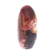 Petrified Wood Fully Polished Nodule Specimen.   SP17181POL