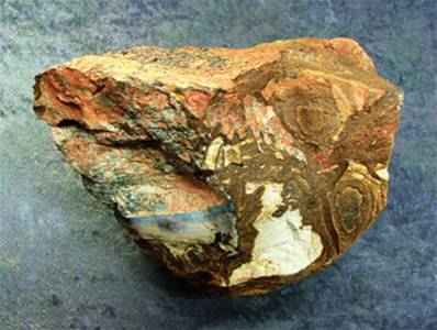 AUSTRALIAN BOULDER OPAL ROUGH CRYSTAL SPECIMEN. SP8437SHLF