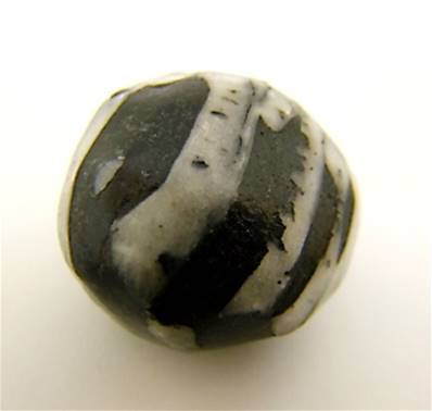 CHRYSANTHEMUM STONE POLISHED PEBBLE SPECIMEN. SP8602POL