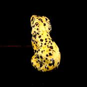 Gemstone Sitting Dog Figure carved in Dalmatian Jasper.   SPR15328POL