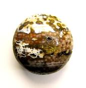 ORBICULAR JASPER POLISHED PEBBLE/ PALMSTONE.   SP10725POL