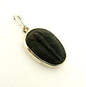 925 SILVER DESIGNER PENDANT FEATURING TRILOBITE FOSSIL.   SP12262PEND 