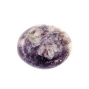 POLISHED LEPIDOLITE PEBBLE/ PALMSTONE.   SP15043POL 