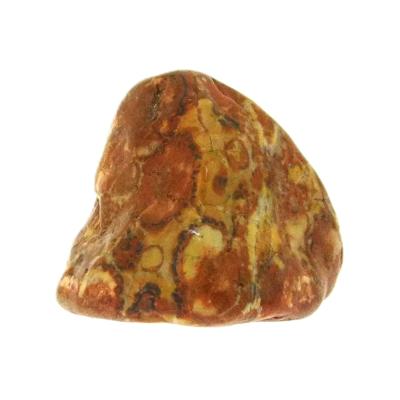 Bird's Eye Jasper Polished Pebble Specimen.  SP15721POL