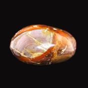 Petrified Wood Polished Pebble/ Palm Stone.   SP16021POL