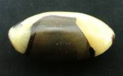 MADAGASCAN SEPTARIAN 'HAND POLISHED' PEBBLE SPECIMEN.   SP5329POL