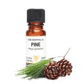 PURE ESSENTIAL OIL - PINE. pinus sylvestris. SPR1072