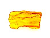 POLISHED BALTIC AMBER SPECIMEN.   SP11103POL