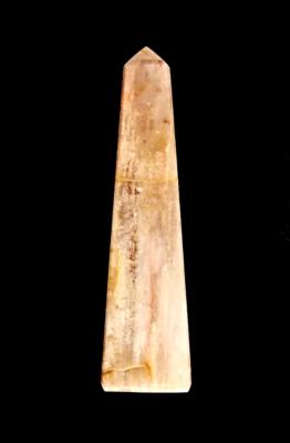 PETRIFIED WOOD OBELISK.   SP11512POL