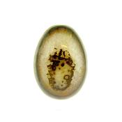 GEMSTONE EGG IN BANDED RED AGATE.   SP14177POL