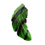 Carving Of A Feather In Ruby With Zoisite.   SP19639POL
