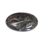 Kambaba Jasper Polished Oval Palm Stone.   SP17222POL