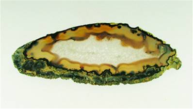 AGATE SLICE SPECIMEN. SP7047POL