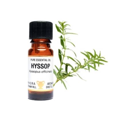 PURE ESSENTIAL OIL - HYSSOP, hyssopus officinalis. SPR6644