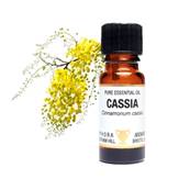 PURE ESSENTIAL OIL - CASSIA, cinnamonum cassia. SPR8640