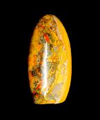 BUMBLE BEE JASPER POLISHED FREE FROM SPECIMEN.   SP11673POL