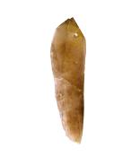 SMOKEY QUARTZ POINT SPECIMEN.   SP14254