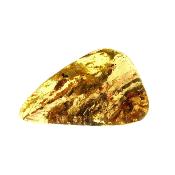 Copal (Young Amber) Fully Polished Specimen.   SP15986POL