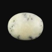 Dendritic Agate Polished Pebble/ Palm Stone.   SP16026POL