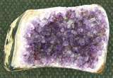 AMETHYST DRUZE/ CLUSTER SPECIMENS