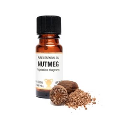 PURE ESSENTIAL OIL - NUTMEG. myristica fragrans. SPR1645