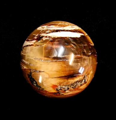 PETRIFIED WOOD