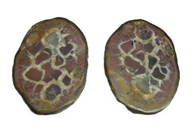 Septarian Sliced & Polished Face Nodule Pair.   SP15847POL